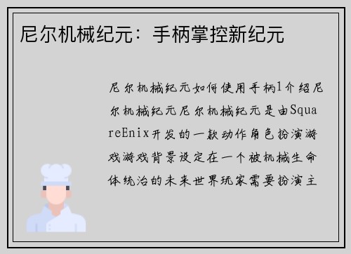 尼尔机械纪元：手柄掌控新纪元